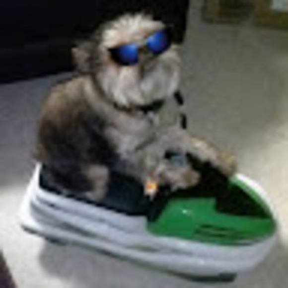 Meet your Posher, Chris - Picture 1 of 1